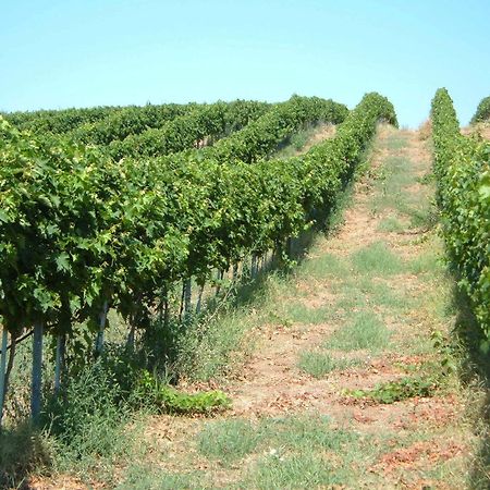 Azienda Agricola Sinisi Cerveteri Buitenkant foto